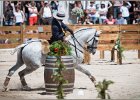 Pferd International 105